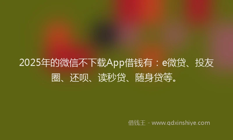 2025年的微信不下载App借钱有：e微贷、投友圈、还呗、读秒贷、随身贷等。