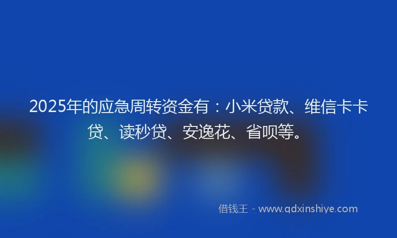 2025年的应急周转资金有：小米贷款、维信卡卡贷、读秒贷、安逸花、省呗等。