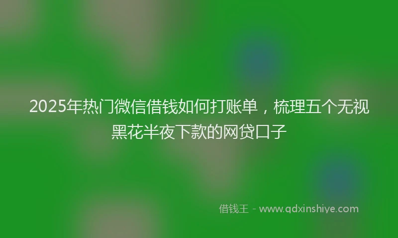 2025年热门微信借钱如何打账单，梳理五个无视黑花半夜下款的网贷口子