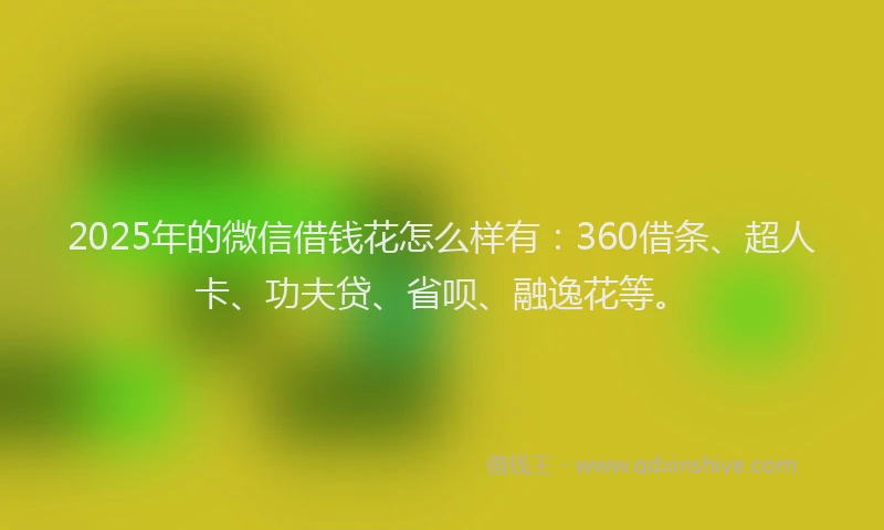 2025年的微信借钱花怎么样有：360借条、超人卡、功夫贷、省呗、融逸花等。