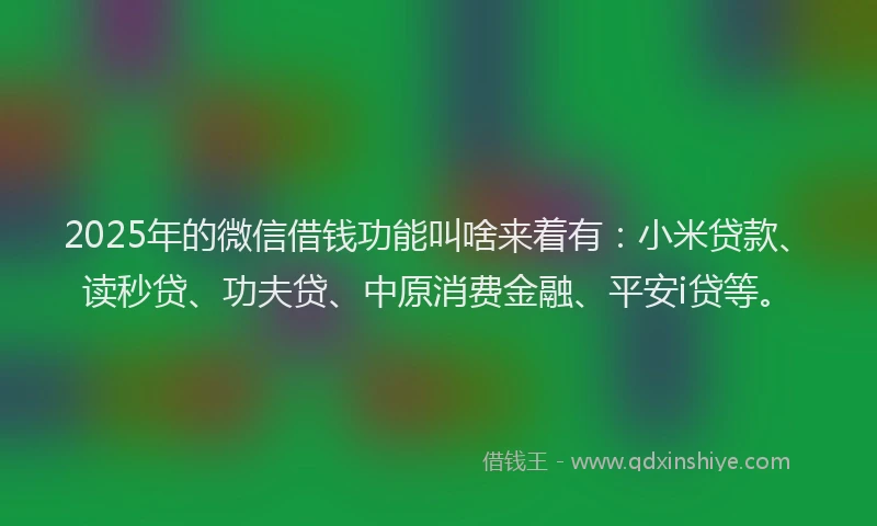2025年的微信借钱功能叫啥来着有：小米贷款、读秒贷、功夫贷、中原消费金融、平安i贷等。