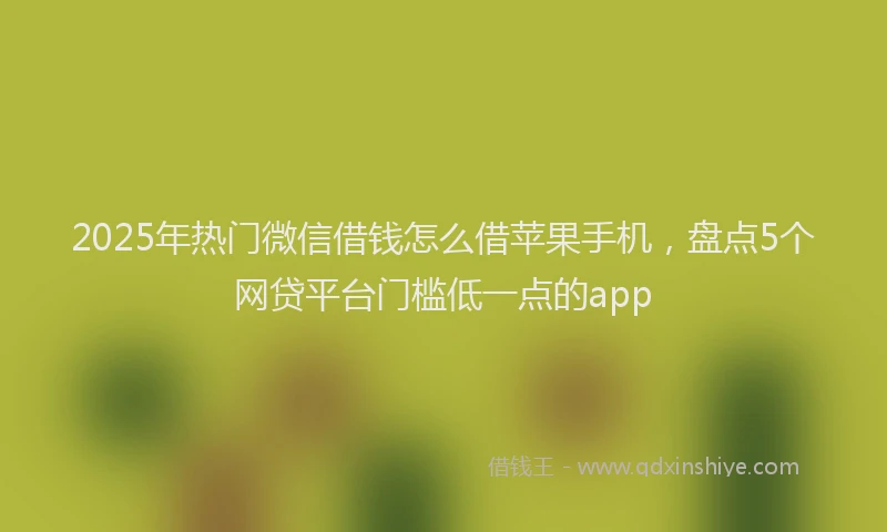 2025年热门微信借钱怎么借苹果手机，盘点5个网贷平台门槛低一点的app