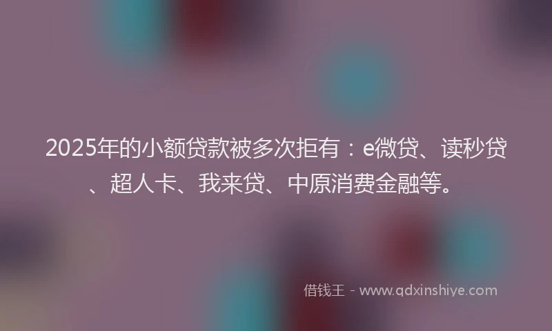 2025年的小额贷款被多次拒有：e微贷、读秒贷、超人卡、我来贷、中原消费金融等。