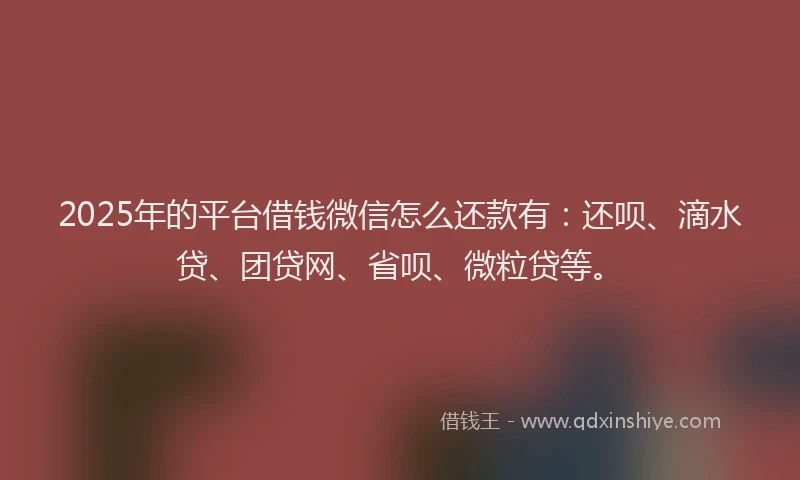 2025年的平台借钱微信怎么还款有：还呗、滴水贷、团贷网、省呗、微粒贷等。