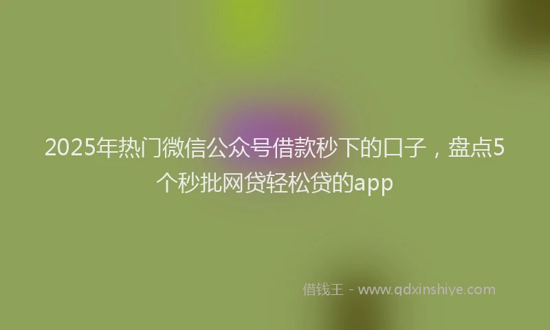 2025年热门微信公众号借款秒下的口子，盘点5个秒批网贷轻松贷的app