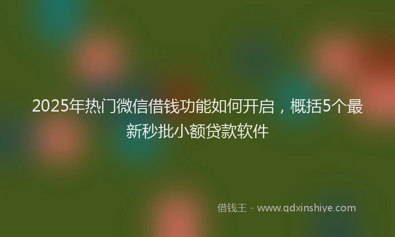 2025年热门微信借钱功能如何开启，概括5个最新秒批小额贷款软件