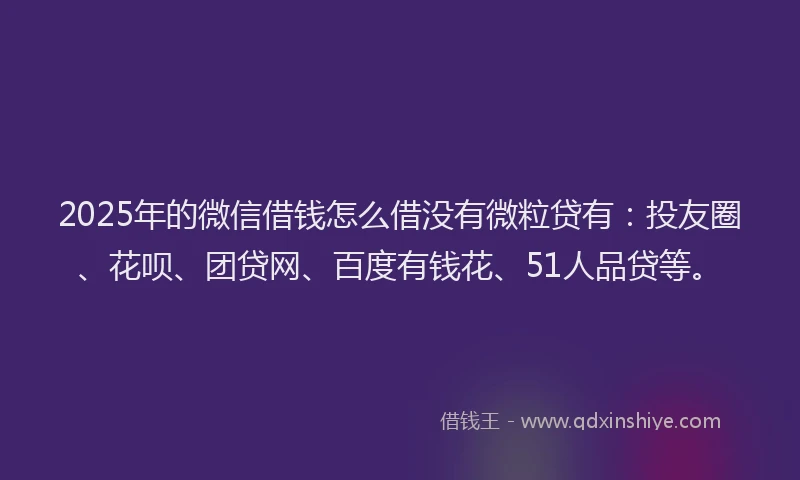 2025年的微信借钱怎么借没有微粒贷有：投友圈、花呗、团贷网、百度有钱花、51人品贷等。