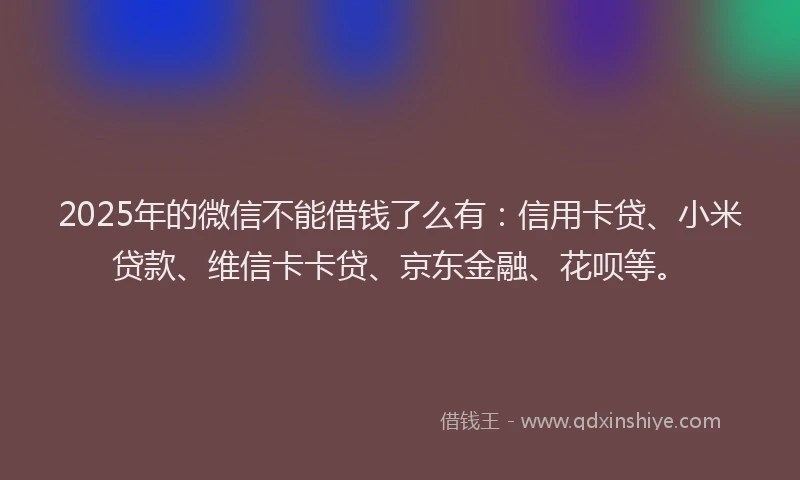 2025年的微信不能借钱了么有：信用卡贷、小米贷款、维信卡卡贷、京东金融、花呗等。