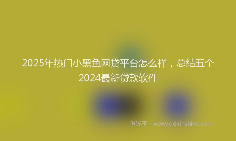 2025年热门小黑鱼网贷平台怎么样，总结五个2024最新贷款软件