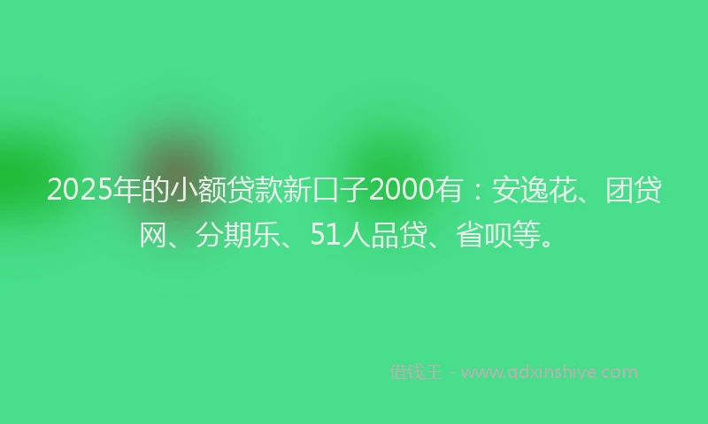 2025年的小额贷款新口子2000有：安逸花、团贷网、分期乐、51人品贷、省呗等。