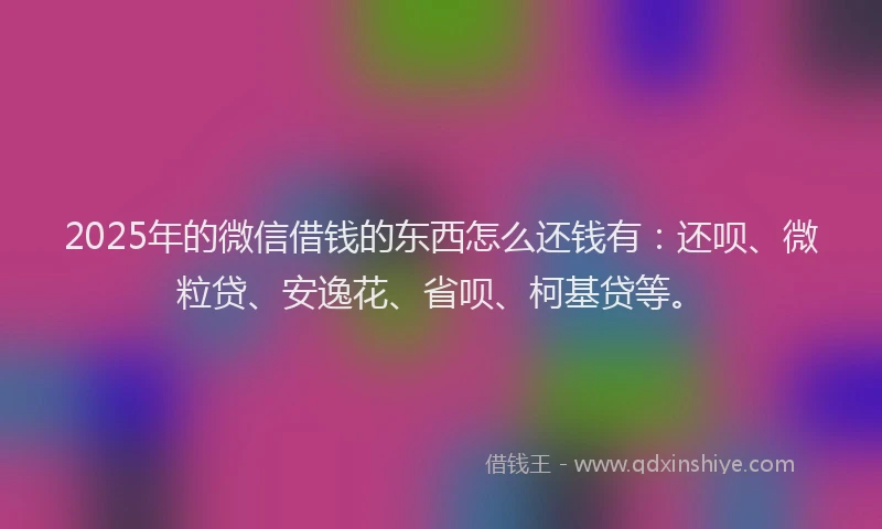 2025年的微信借钱的东西怎么还钱有：还呗、微粒贷、安逸花、省呗、柯基贷等。