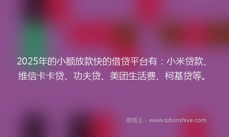 2025年的小额放款快的借贷平台有：小米贷款、维信卡卡贷、功夫贷、美团生活费、柯基贷等。
