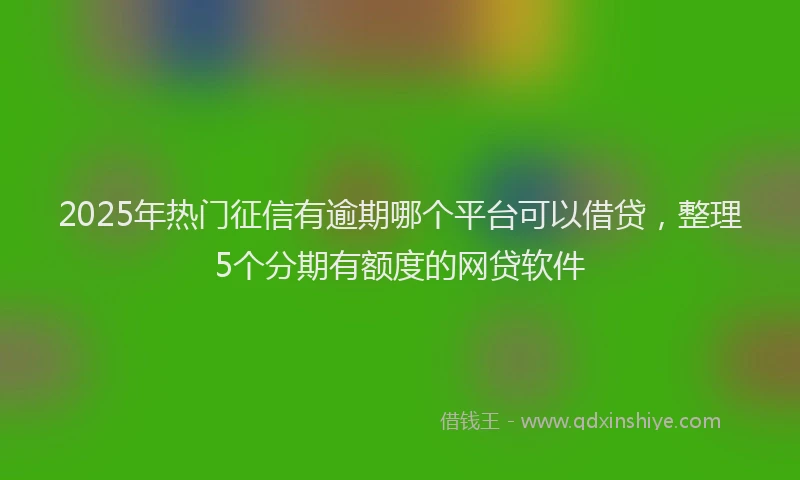 2025年热门征信有逾期哪个平台可以借贷，整理5个分期有额度的网贷软件