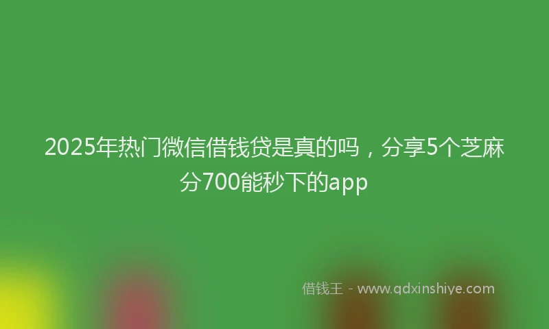 2025年热门微信借钱贷是真的吗，分享5个芝麻分700能秒下的app