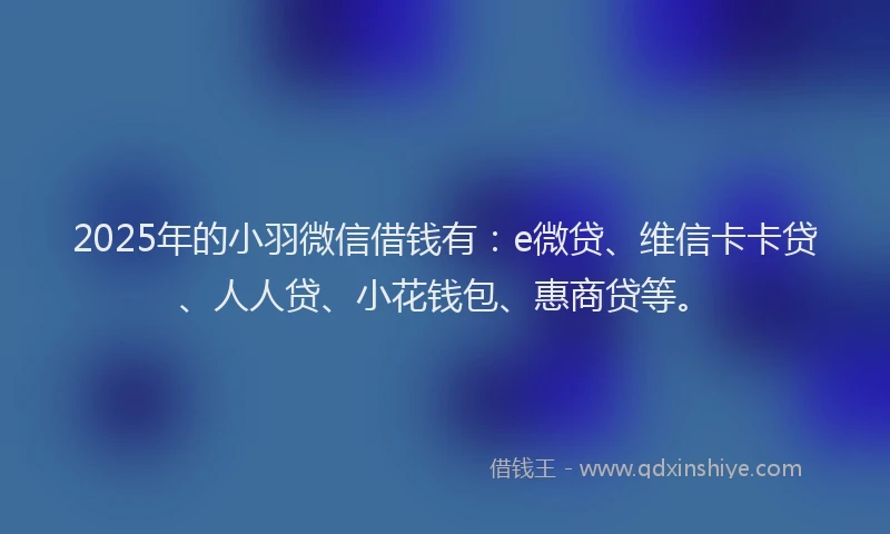 2025年的小羽微信借钱有：e微贷、维信卡卡贷、人人贷、小花钱包、惠商贷等。