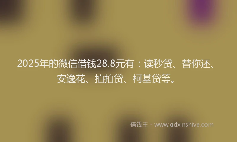 2025年的微信借钱28.8元有：读秒贷、替你还、安逸花、拍拍贷、柯基贷等。