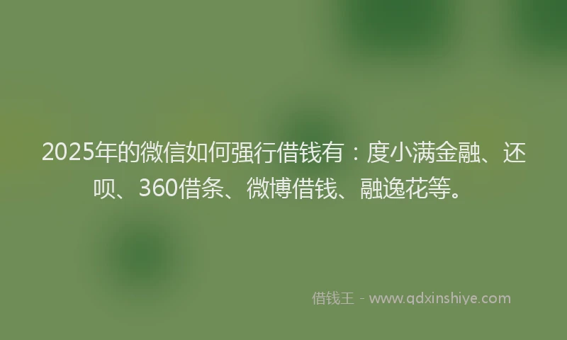 2025年的微信如何强行借钱有：度小满金融、还呗、360借条、微博借钱、融逸花等。