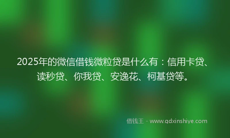 2025年的微信借钱微粒贷是什么有：信用卡贷、读秒贷、你我贷、安逸花、柯基贷等。