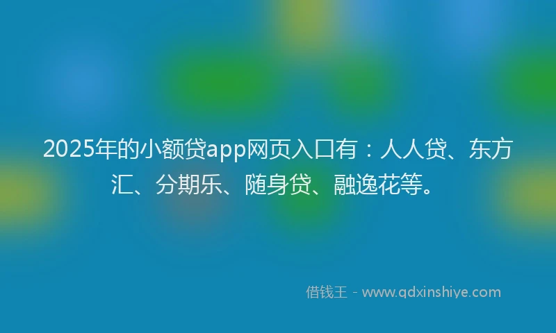 2025年的小额贷app网页入口有：人人贷、东方汇、分期乐、随身贷、融逸花等。