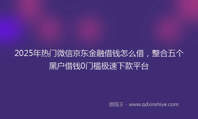 2025年热门微信京东金融借钱怎么借，整合五个黑户借钱0门槛极速下款平台