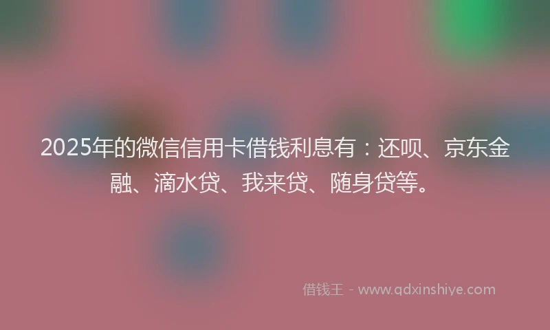 2025年的微信信用卡借钱利息有：还呗、京东金融、滴水贷、我来贷、随身贷等。