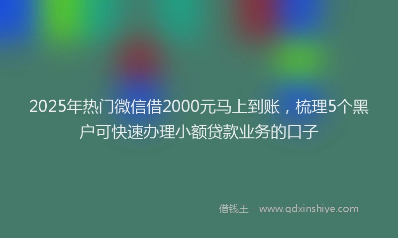 2025年热门微信借2000元马上到账，梳理5个黑户可快速办理小额贷款业务的口子