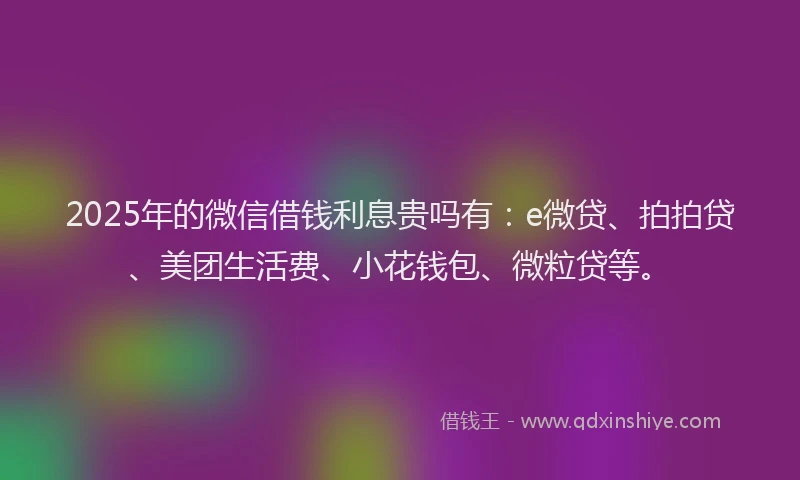 2025年的微信借钱利息贵吗有：e微贷、拍拍贷、美团生活费、小花钱包、微粒贷等。