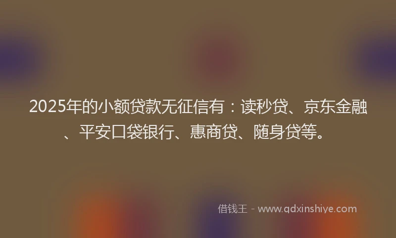 2025年的小额贷款无征信有：读秒贷、京东金融、平安口袋银行、惠商贷、随身贷等。