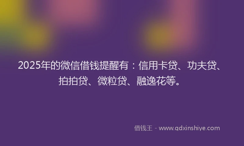 2025年的微信借钱提醒有：信用卡贷、功夫贷、拍拍贷、微粒贷、融逸花等。