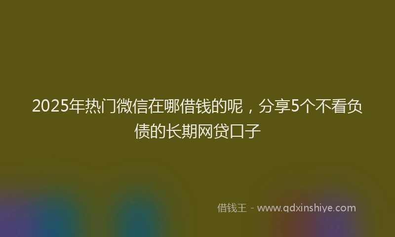 2025年热门微信在哪借钱的呢，分享5个不看负债的长期网贷口子