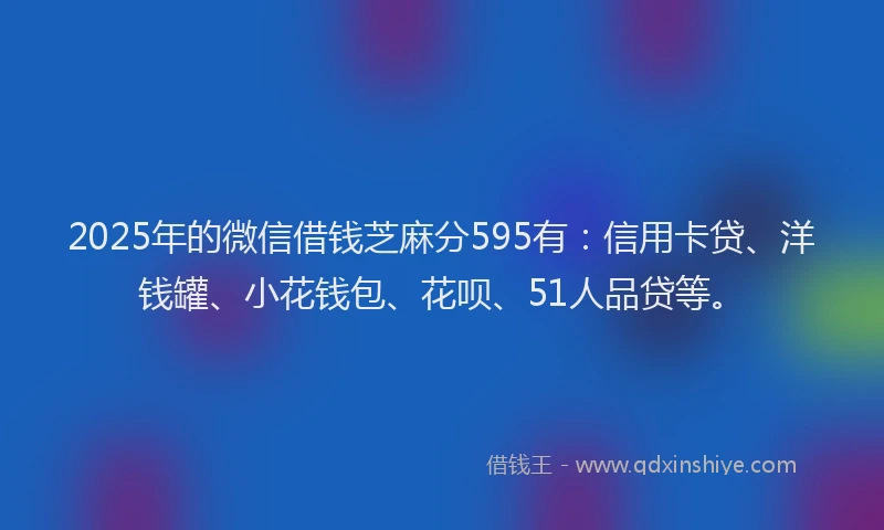 2025年的微信借钱芝麻分595有：信用卡贷、洋钱罐、小花钱包、花呗、51人品贷等。