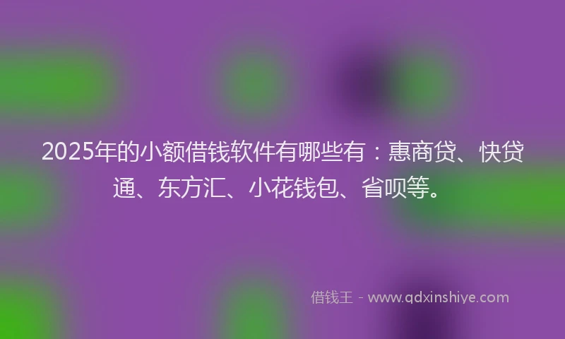 2025年的小额借钱软件有哪些有：惠商贷、快贷通、东方汇、小花钱包、省呗等。