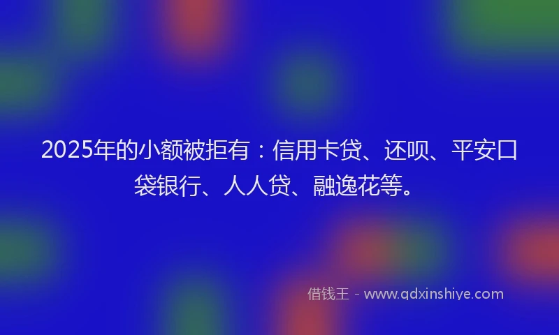 2025年的小额被拒有：信用卡贷、还呗、平安口袋银行、人人贷、融逸花等。