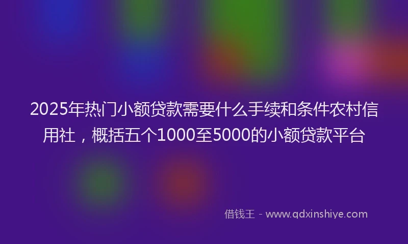 2025年热门小额贷款需要什么手续和条件农村信用社，概括五个1000至5000的小额贷款平台