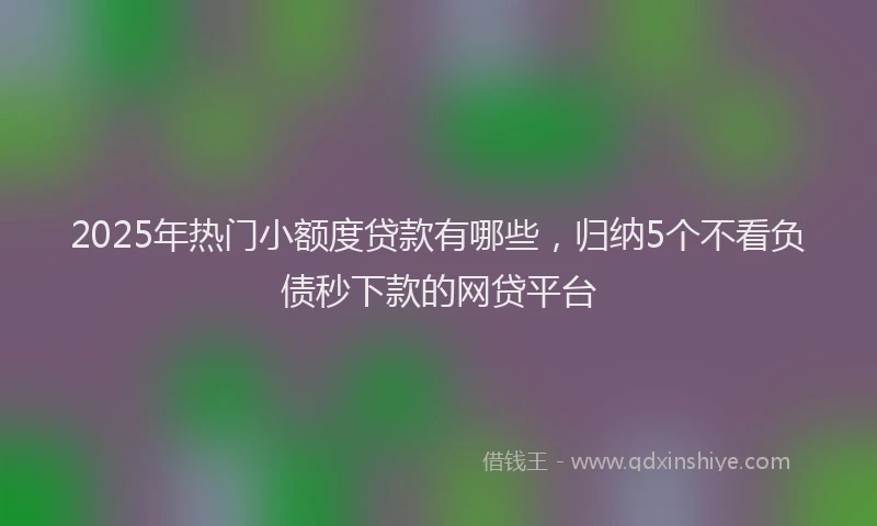 2025年热门小额度贷款有哪些，归纳5个不看负债秒下款的网贷平台