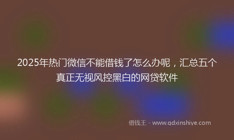 2025年热门微信不能借钱了怎么办呢，汇总五个真正无视风控黑白的网贷软件