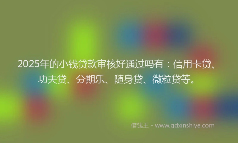 2025年的小钱贷款审核好通过吗有：信用卡贷、功夫贷、分期乐、随身贷、微粒贷等。