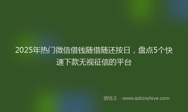 2025年热门微信借钱随借随还按日，盘点5个快速下款无视征信的平台