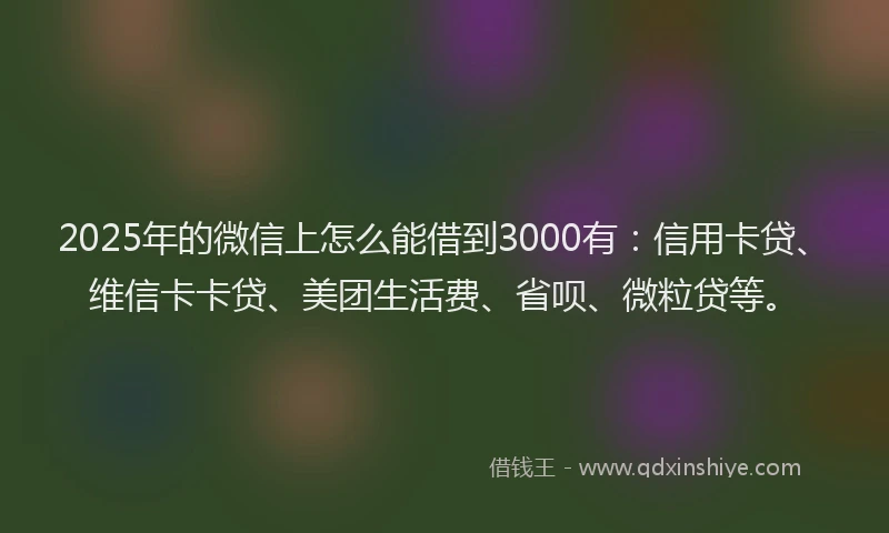 2025年的微信上怎么能借到3000有：信用卡贷、维信卡卡贷、美团生活费、省呗、微粒贷等。