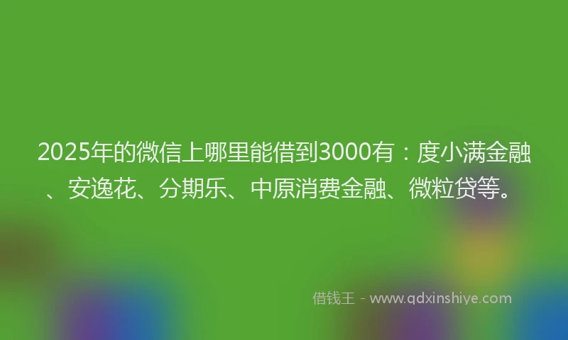 2025年的微信上哪里能借到3000有：度小满金融、安逸花、分期乐、中原消费金融、微粒贷等。