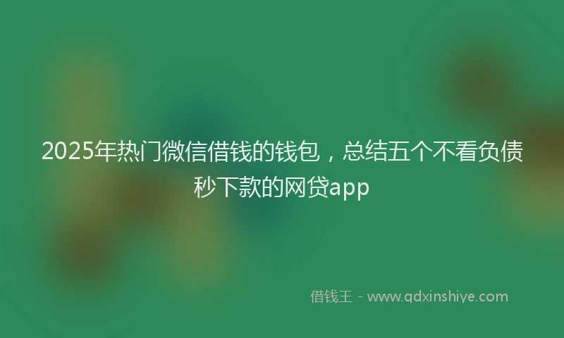 2025年热门微信借钱的钱包，总结五个不看负债秒下款的网贷app