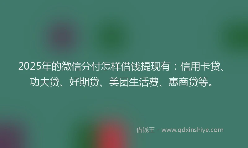 2025年的微信分付怎样借钱提现有：信用卡贷、功夫贷、好期贷、美团生活费、惠商贷等。