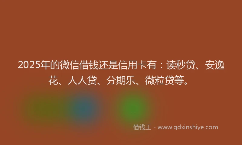 2025年的微信借钱还是信用卡有：读秒贷、安逸花、人人贷、分期乐、微粒贷等。
