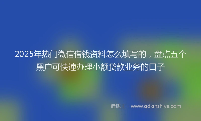 2025年热门微信借钱资料怎么填写的，盘点五个黑户可快速办理小额贷款业务的口子