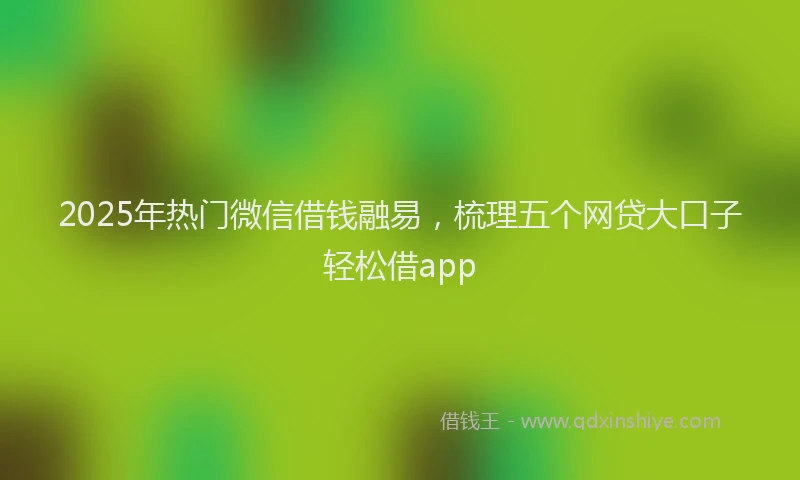 2025年热门微信借钱融易，梳理五个网贷大口子轻松借app