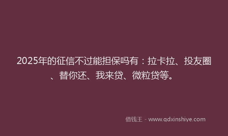 2025年的征信不过能担保吗有：拉卡拉、投友圈、替你还、我来贷、微粒贷等。