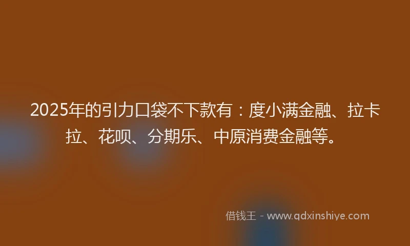 2025年的引力口袋不下款有：度小满金融、拉卡拉、花呗、分期乐、中原消费金融等。