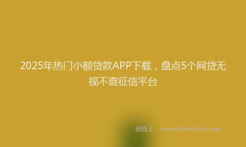 2025年热门小额贷款APP下载，盘点5个网贷无视不查征信平台