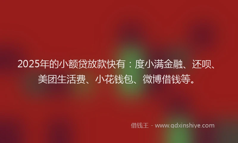 2025年的小额贷放款快有：度小满金融、还呗、美团生活费、小花钱包、微博借钱等。