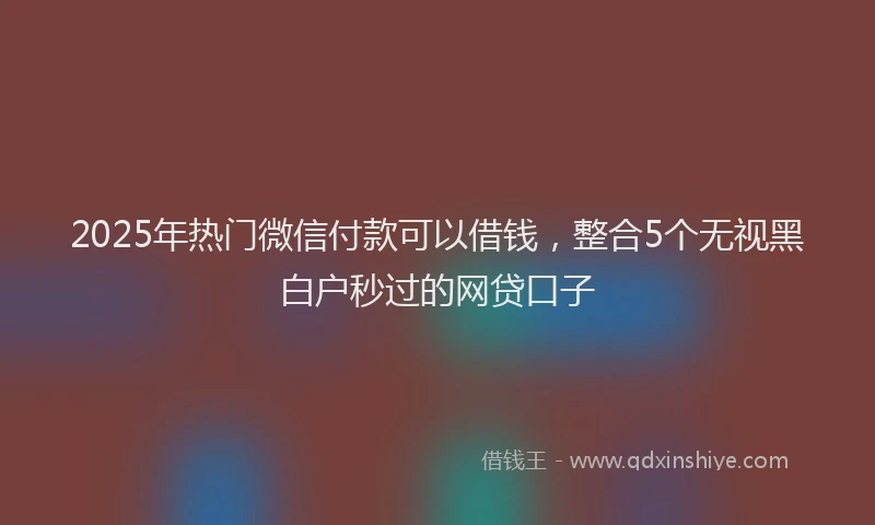 2025年热门微信付款可以借钱，整合5个无视黑白户秒过的网贷口子